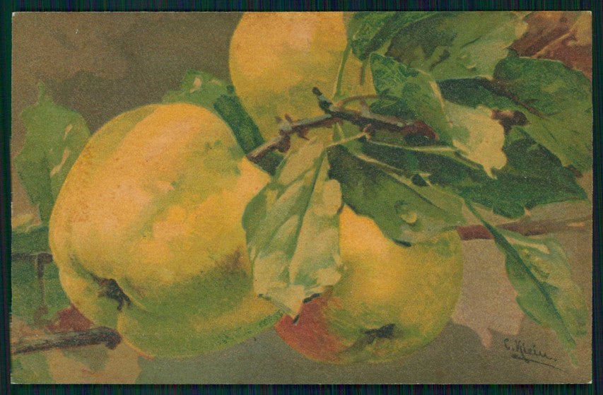 Artist Signed Catherine Klein Apple Fruit Velvet serie 539 cartolina TC6838 – fronte
