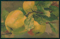 Artist Signed Catherine Klein Apple Fruit Velvet serie 539 cartolina TC6838 – fronte