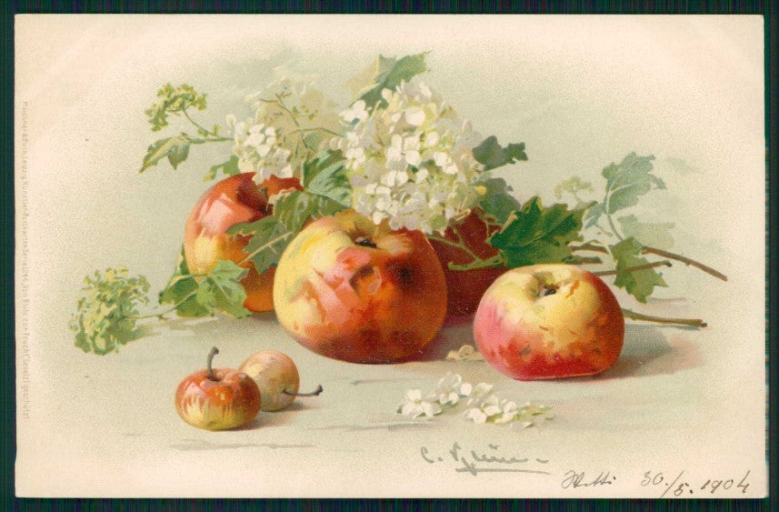 Artist Signed C. Klein Apple Fruit Meissner Buch serie 1246 cartolina TC6850 – fronte
