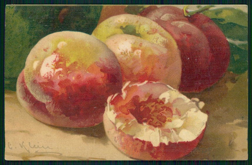 Artist Signed Catherine Klein Fruit cartolina TC6854 – fronte