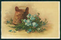Artist Signed Catherine Klein Myosotis Flowers cartolina TC6856 – fronte