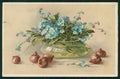 Artist Signed Catherine Klein Myosotis Flowers T S N serie 992 cartolina TC6857 – fronte