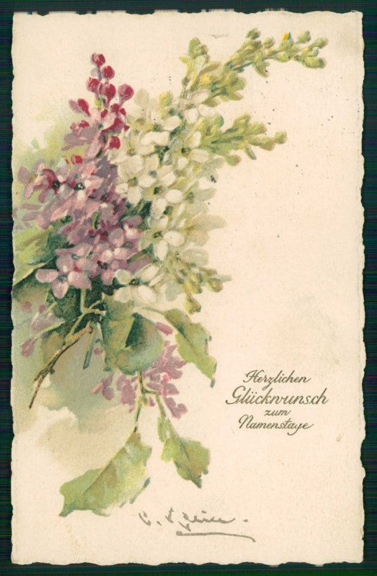 Artist Signed Catherine Klein Syringa Flowers Lillà HOLE cartolina TC6860 – fronte