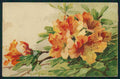 Artist Signed Catherine Klein Flowers Studien serie cartolina TC6869 – fronte