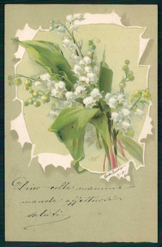 Artist Signed Catherine Klein Flowers cartolina TC6875 – fronte