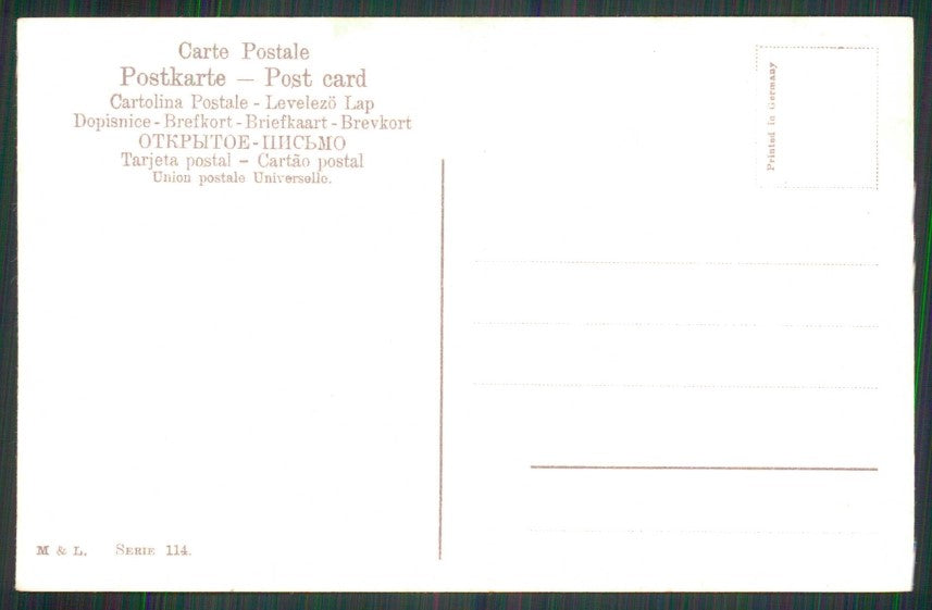 Artist Signed Catherine Klein Flowers cartolina TC6876 – retro