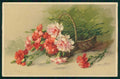 Artist Signed Catherine Klein Flowers T S N serie 970 cartolina TC6877 – fronte