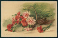 Artist Signed Catherine Klein Flowers T S N serie 970 cartolina TC6879 – fronte