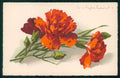 Artist Signed Catherine Klein Flowers cartolina TC6880 – fronte