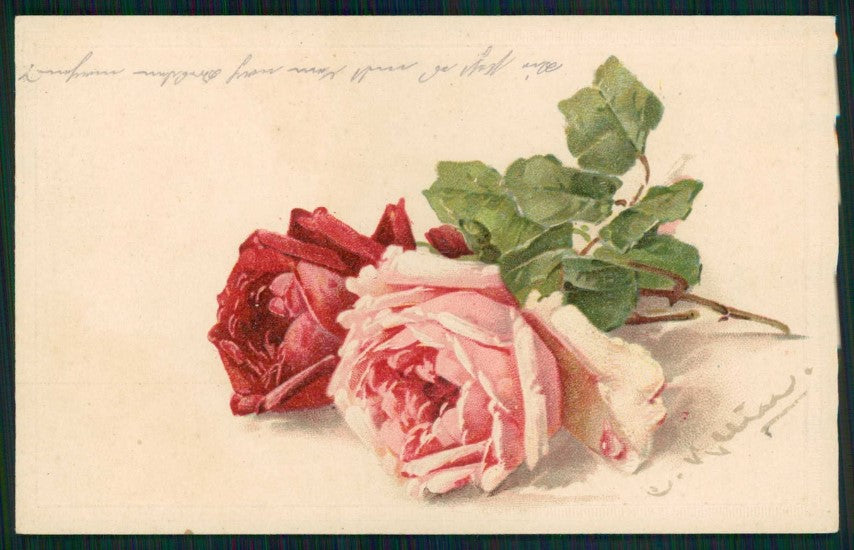 Artist Signed Catherine Klein Rose Flowers relief cartolina TC6892 – fronte