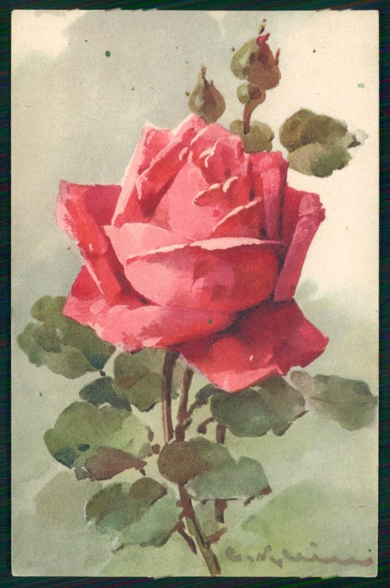 Artist Signed Catherine Klein Rose Flowers serie 1268 cartolina TC6899 – fronte