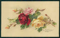 Artist Signed Catherine Klein Rose Flowers cartolina TC6908 – fronte