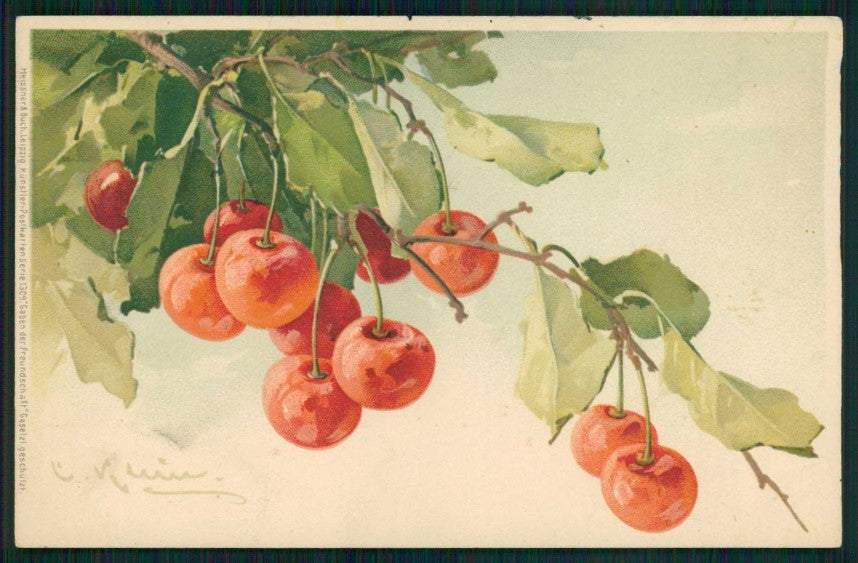 Artist Signed Klein Fruit Cherries Ciliegie Meissner Buch 1309 cartolina TC6917 – fronte