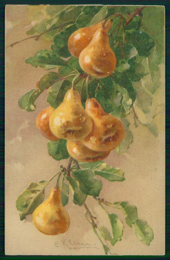 Artist Signed C. Klein Fruit Pear Pera Studien serie cartolina TC6922 – fronte