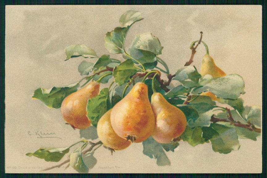 Artist Signed C. Klein Fruit Pear Pera Dondorf serie 133 cartolina TC6924 – fronte