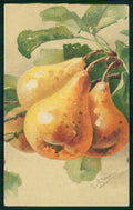 Artist Signed C. Klein Fruit Pear Pera cartolina TC6927 – fronte