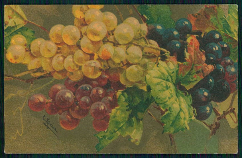 Artist Signed Catherine Klein Fruit Velvet serie 532 cartolina TC6929 – fronte