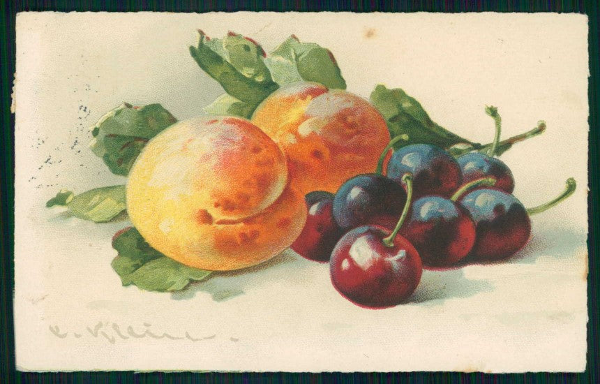 Artist Signed Catherine Klein Fruit serie 236 cartolina TC6930 – fronte