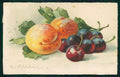 Artist Signed Catherine Klein Fruit serie 236 cartolina TC6930 – fronte
