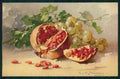 Artist Signed Catherine Klein Fruit cartolina TC6934 – fronte