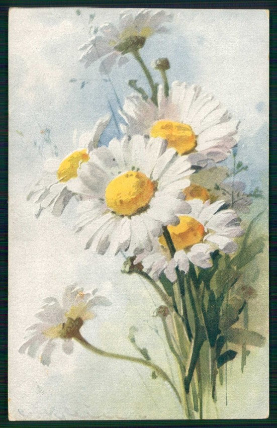 Artist Signed Catherine Klein Daisy Flowers serie 123-2708 cartolina TC6937 – fronte
