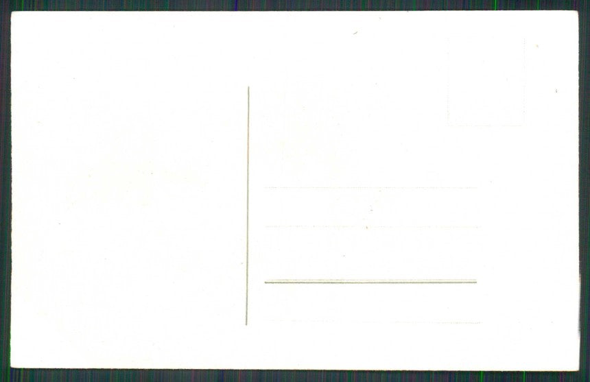 Artist Signed C. Klein Violet Flowers cartolina TC6938 – retro