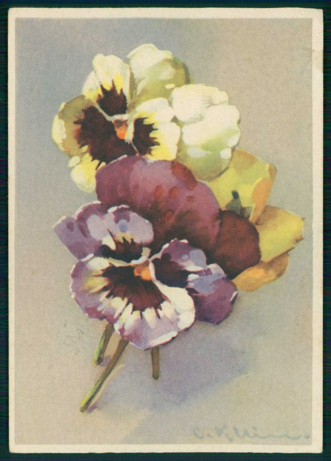 Artist Signed C. Klein Violet Flowers serie 642-1 FG cartolina TC6940 – fronte