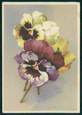 Artist Signed C. Klein Violet Flowers serie 642-1 FG cartolina TC6940 – fronte