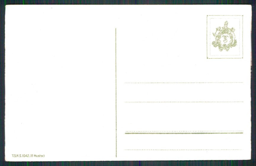 Artist Signed C. Klein Violet Flowers T S N serie 1042 cartolina TC6943 – retro