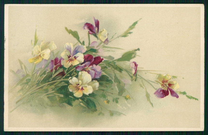 Artist Signed C. Klein Purple Violet Flowers T S N serie 1119 cartolina TC6948 – fronte