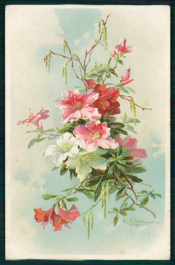 Artist Signed Catherine Klein Flowers cartolina TC6957 – fronte