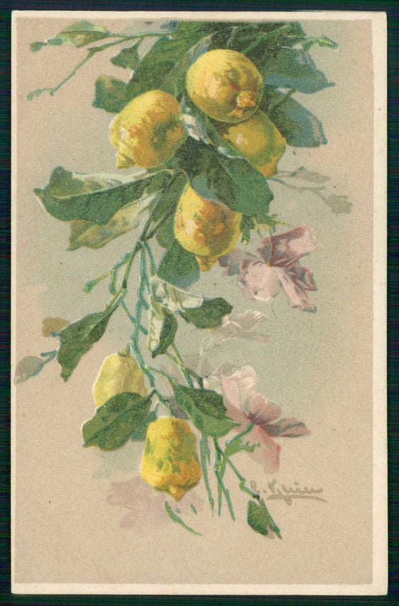 Artist Signed Catherine Klein Flowers Ettlinger serie 4826 cartolina TC6964 – fronte