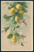 Artist Signed Catherine Klein Flowers Ettlinger serie 4826 cartolina TC6964 – fronte