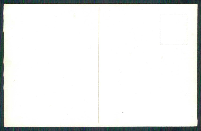 Artist Signed Catherine Klein Flowers cartolina TC6968 – retro