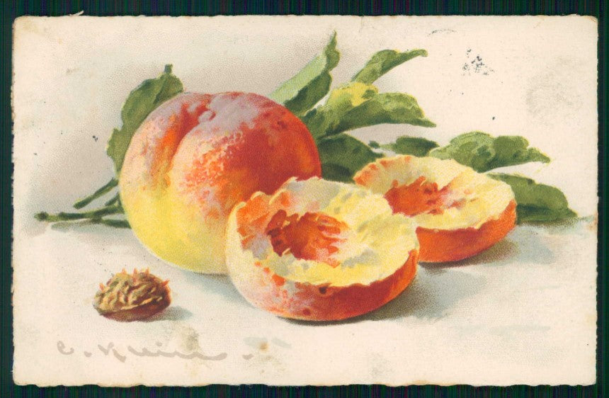 Artist Signed Catherine Klein Fruit serie 236 cartolina TC6975 – fronte