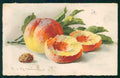 Artist Signed Catherine Klein Fruit serie 236 cartolina TC6975 – fronte