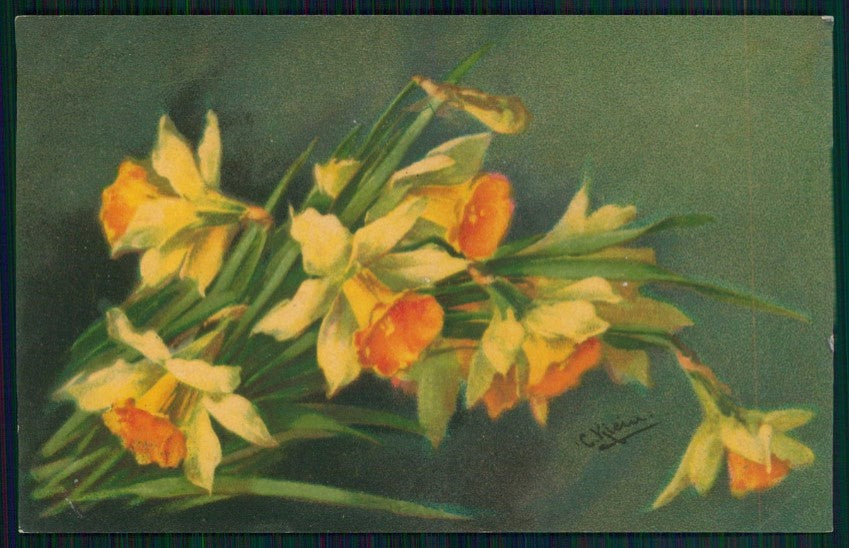Artist Signed Catherine Klein Flowers Velvet serie 626 cartolina TC6980 – fronte
