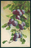 Artist Signed Catherine Klein Fruit serie 1615 cartolina TC6985 – fronte