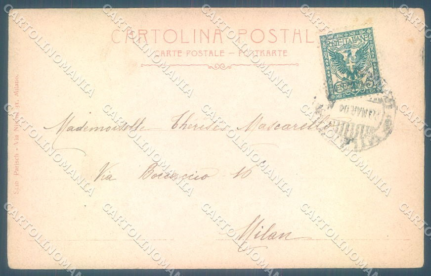 Animals Dog Jack Russell ? Puppies cartolina postcard TW1023 – retro