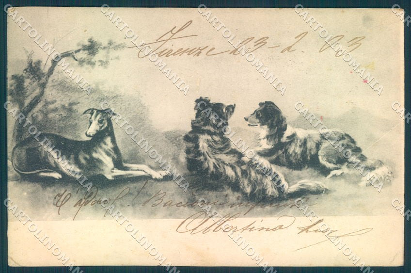 Animals Dog Greyhound Collie Helena Maguire cartolina postcard TW1025 – fronte