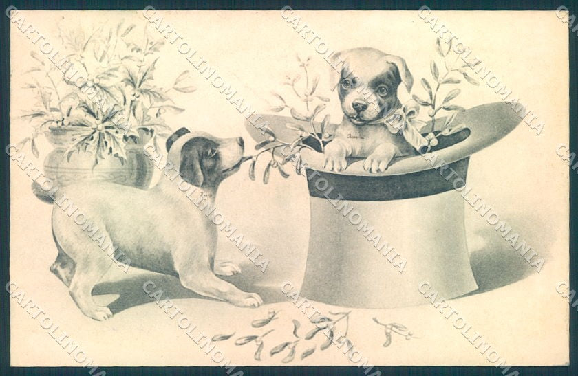 Animals Dog Puppies Christmas Viennoise Hat serie 5013 cartolina postcard TW1026 – fronte