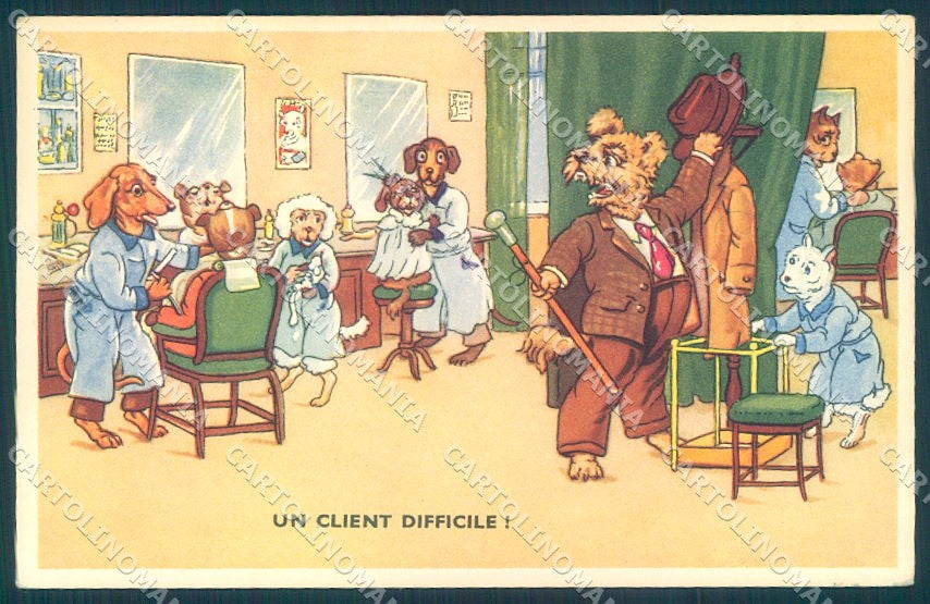 Animals Dog Dachshund Dressed Barber Shop serie 53800-7 postcard TW1032 – fronte