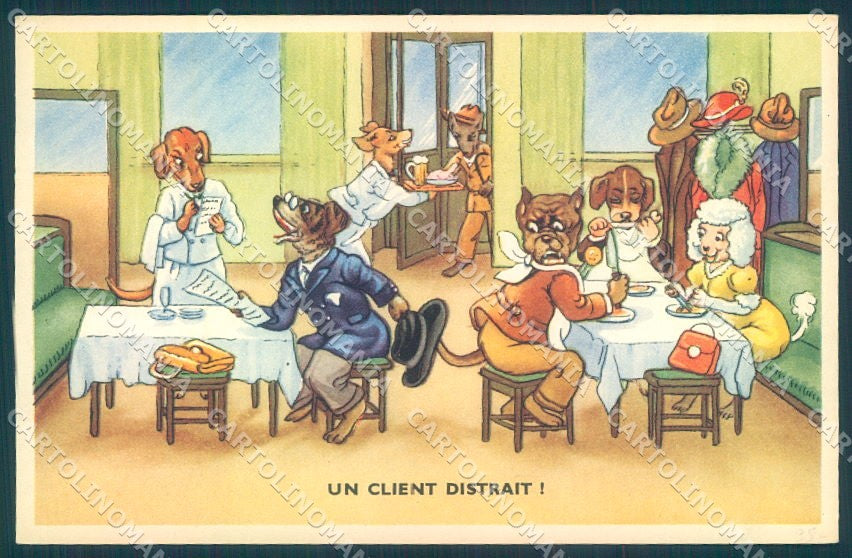 Animals Dog Poodle Dressed Restaurant serie 53800-9 cartolina postcard TW1034 – fronte