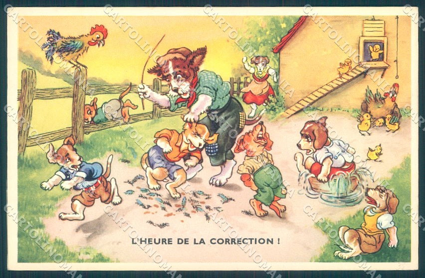 Animals Dog Dachshund Dressed Garden serie 53800-3 cartolina postcard TW1035 – fronte