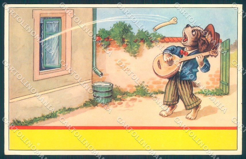 Animals Dog Dressed Playing Mandolin CORNER CREASE cartolina postcard TW1038 – fronte