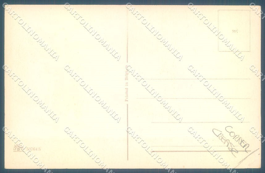 Animals Dog Dressed Playing Mandolin CORNER CREASE cartolina postcard TW1038 – retro