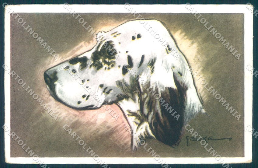 Animals Dog Setter NMM serie 3000-1 Duka cartolina postcard TW1044 – fronte