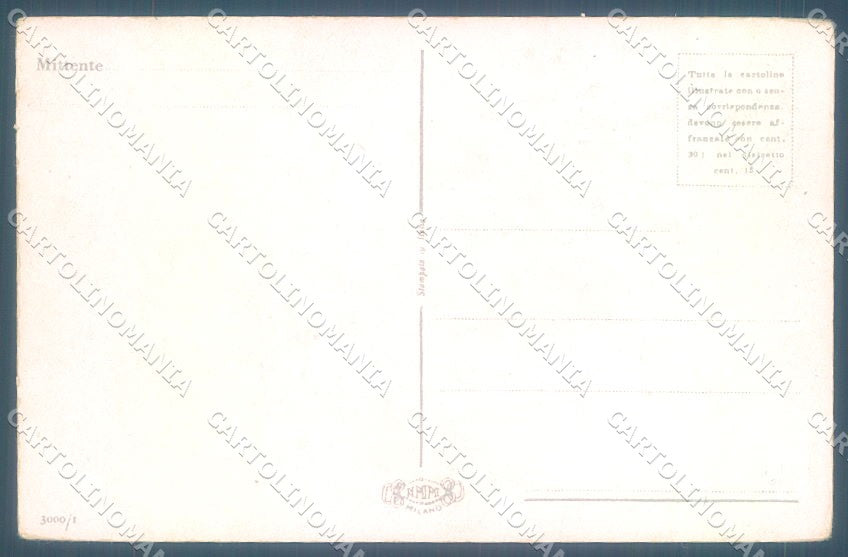 Animals Dog Setter NMM serie 3000-1 Duka cartolina postcard TW1044 – retro