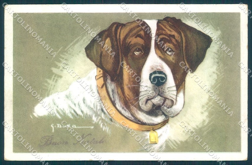 Animals Dog Saint Bernard NMM serie 3000-1 Duka cartolina postcard TW1045 – fronte