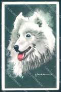 Animals Dog Samoiedo NMM serie 3000-14 Duka cartolina postcard TW1046 – fronte